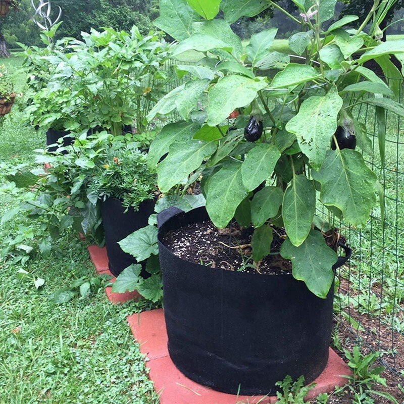 Sacs de culture 5 gallons/7 gallons/10 gallons, paquet de 6 Pots de plantation en tissu durables avec poignées de sangle, parfaits pour les légumes et les Fruits