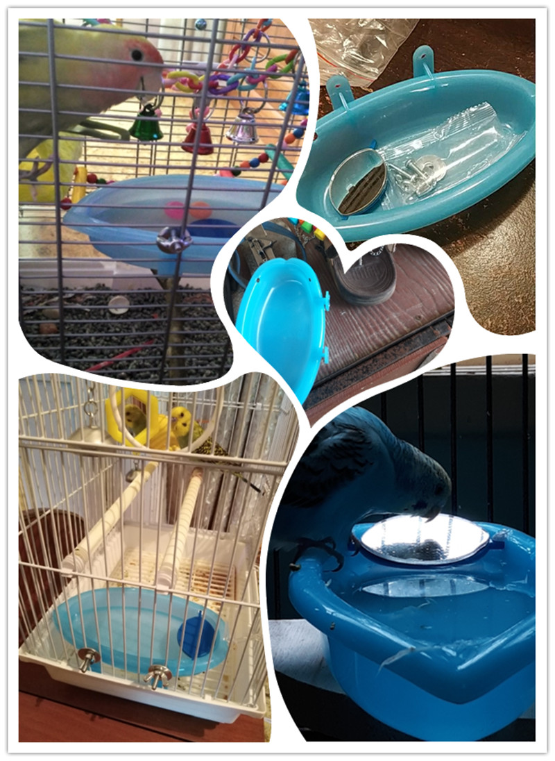Papegaai Bad Met Spiegel Huisdier Kooi Accessoires Vogel Spiegel Bad Douche Doos Vogelkooi Huisdier Kleine Vogel Papegaai Kooi Vogel speelgoed Een