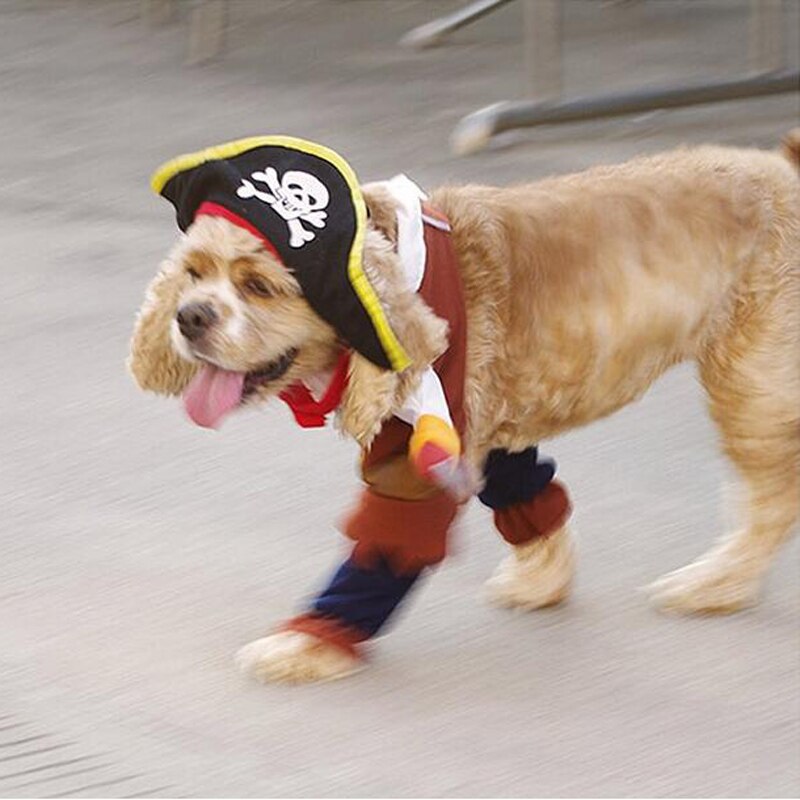 Roliga kläder för sällskapsdjur hund kostym karibisk pirat kostym corsair klä ut festkläder kläder för hundar plus hatt