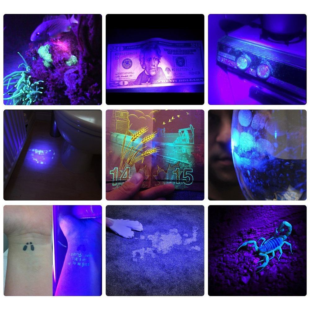 Alonefire 21 ledet uv lys 395-400nm ledet uv lommelykt fakkel lampe uv klebende gjeting reisesikkerhet uv deteksjon aaa