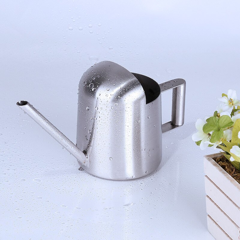 Bidon d'eau en acier inoxydable 300/500ml, arrosage en métal, Pot d'arrosage brossé pour plantation de jardin, outils de jardinage de fleurs