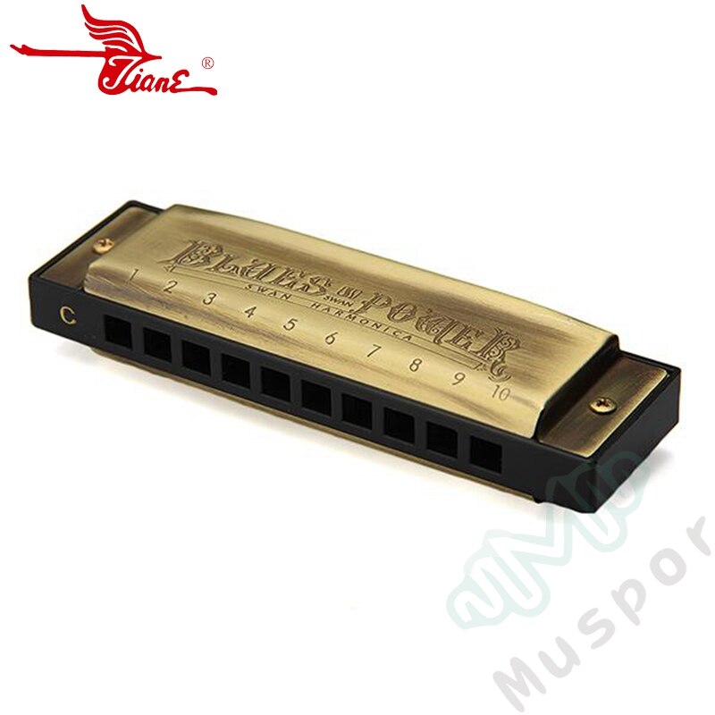 SWAN Bronze 10 Holes Diatonic Blues Harp Harmonica Key of C 20 Tones