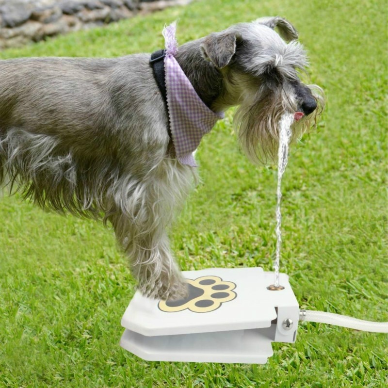 Fuente de agua automática para perro, juguete para mascotas, seguridad sin electricidad