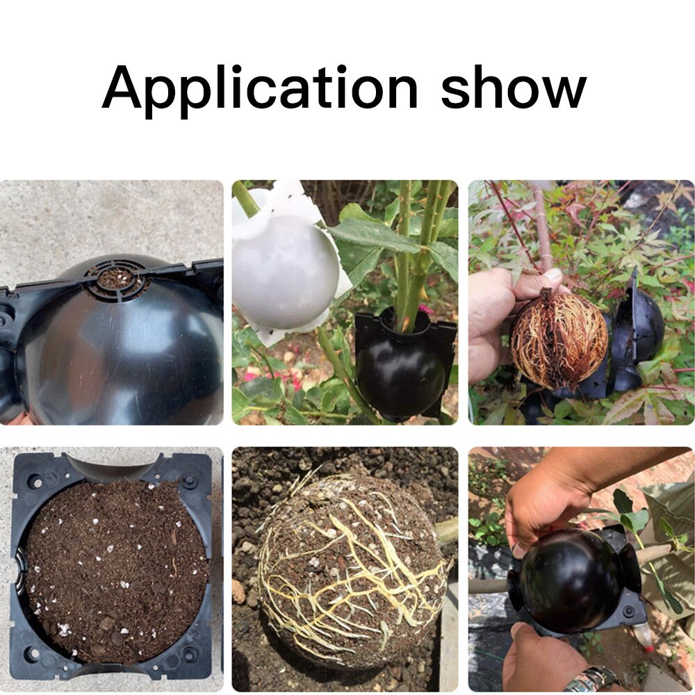 5/8/12cm Plant Rooting Growing Box Plant Rooting Box Case Rooting Ball Plastic Flower Container Nursery Trays Indoor Garden Tool