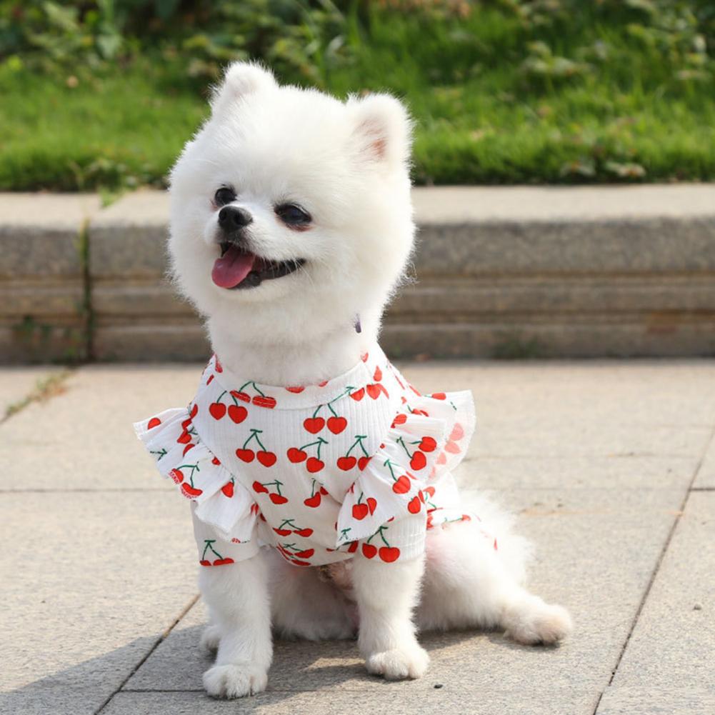 Disfraz de perro con estampado de cerezas, blusa de tela de poliéster con cuello redondo, agradable para la piel, para la vida diaria, , 80%