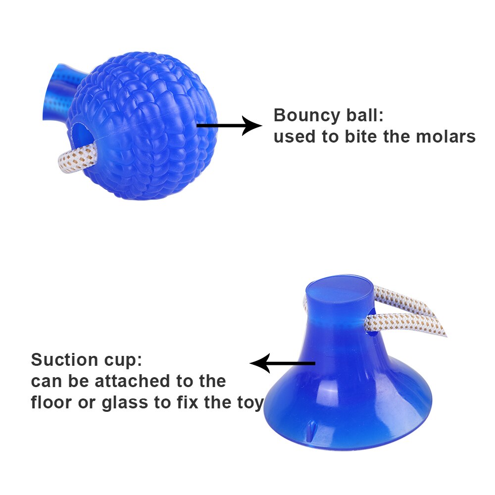Dog Toys Rubber Suction Cup Dog Toys Pet Tug Funny Toy Chewing Teeth Cleaning Puppy Animal Toy Tug Rope Holder Pet Supplies