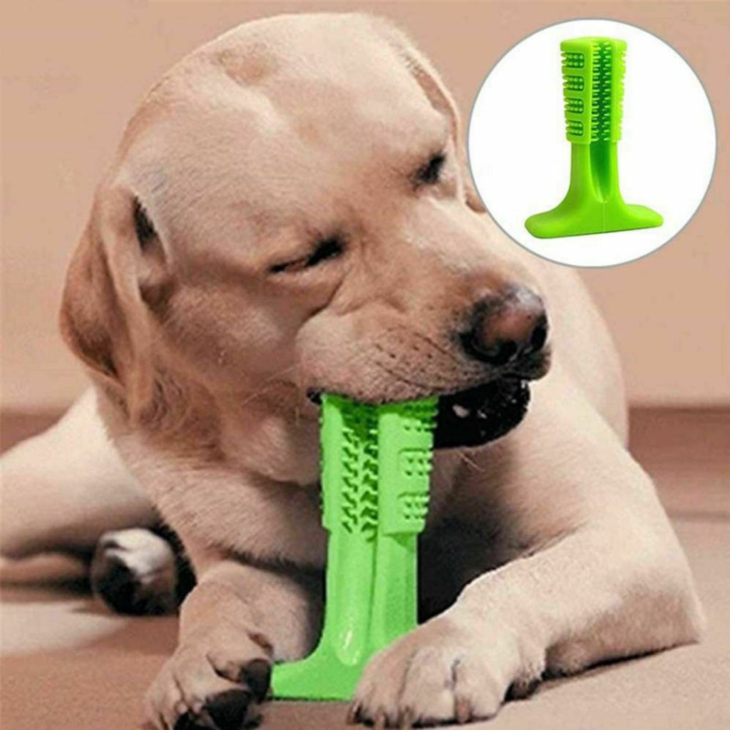 Dog Toys Pet Puppy Molar Tooth Cleaner Teeth Brushing Stick Trainging Dog Chew Toy Dogs Cats Toothbrush