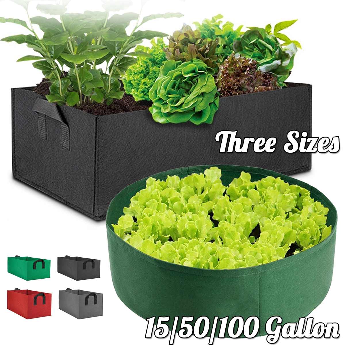 Guide Tige Cadre Fuji IGHB SG2081 - Pièce Pêche Inox, Couleur Or, Référence (8037, Neuf