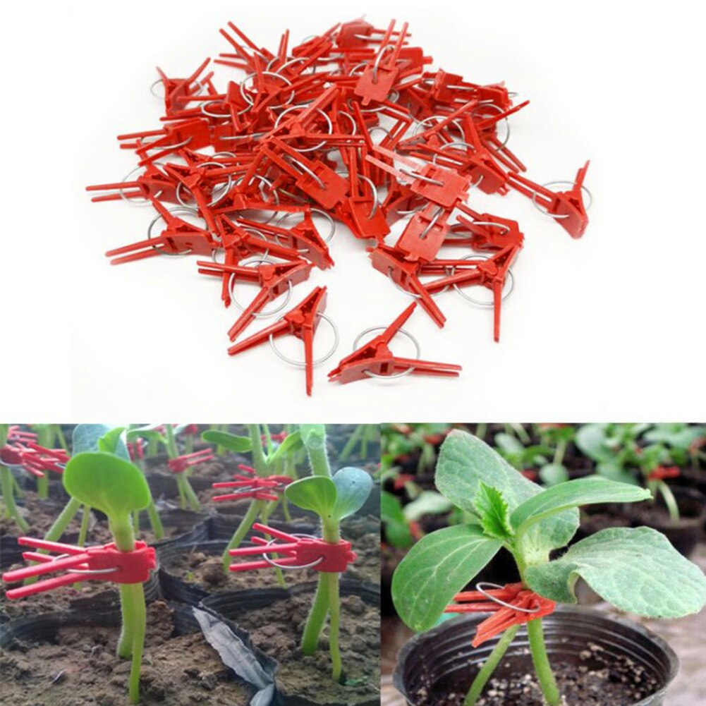 50pcs Plastic Grafting Graft Clips Garden Plant Support for Vegetable Flower Tomato Stalks Fix Grow Upright Grafting Tool Garden