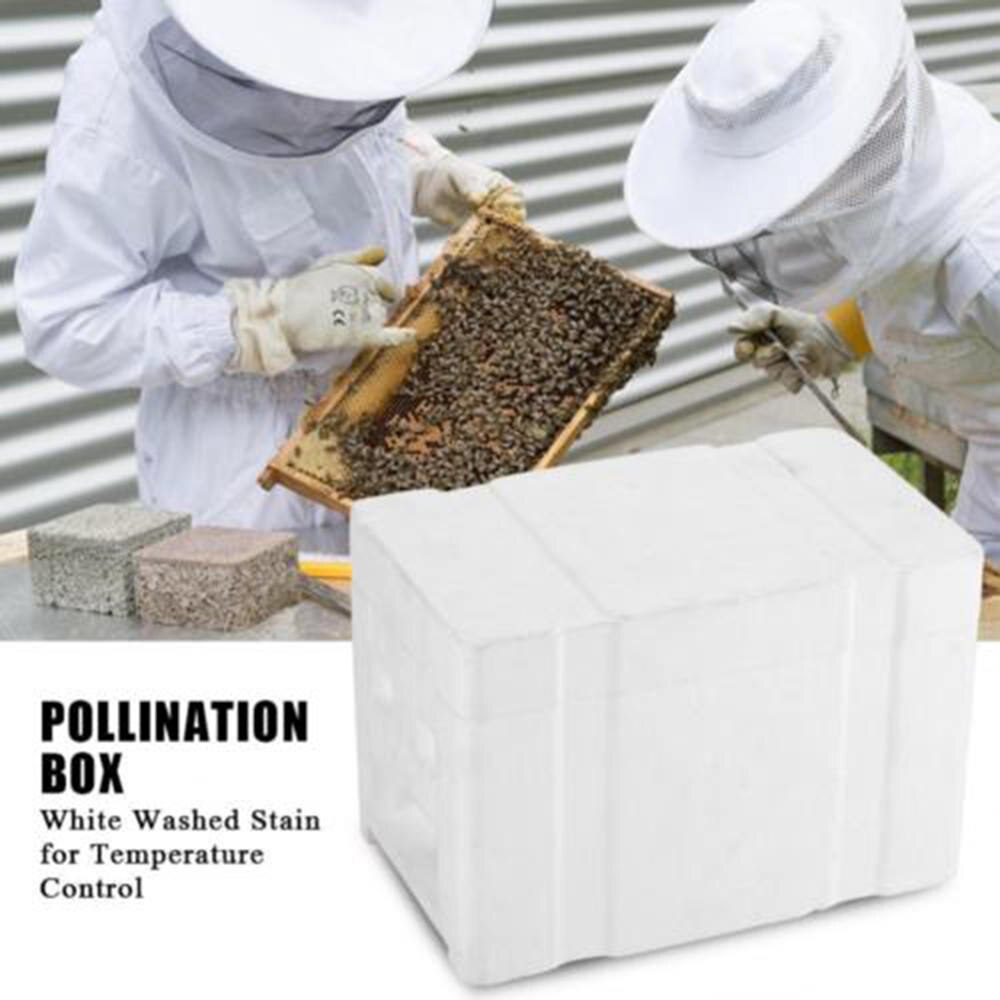 1pcs Honey Beehive Bee Hive Box Case Beekeeping Equipment Raw Harvest Bees Frame