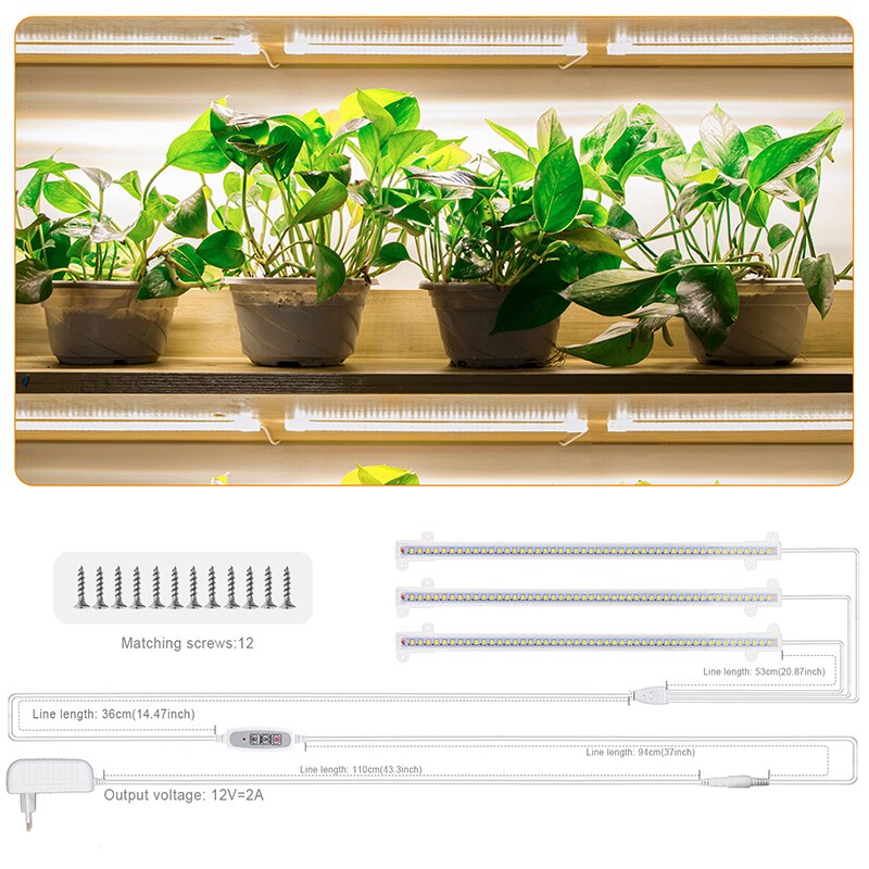 Luz Led de cultivo para orquídeas, fitoamplificador de espectro completo, lámpara de cultivo regulable, blanco, 12V, 4 Uds.