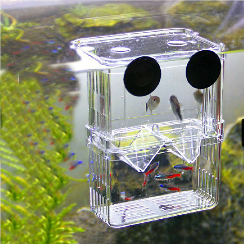 Mini Fish Breeding Isolation Box Fish Tank Aquarium Breeder Box Double Holes Betta Fish Hatching Incubator Aquarium Fish Bowl