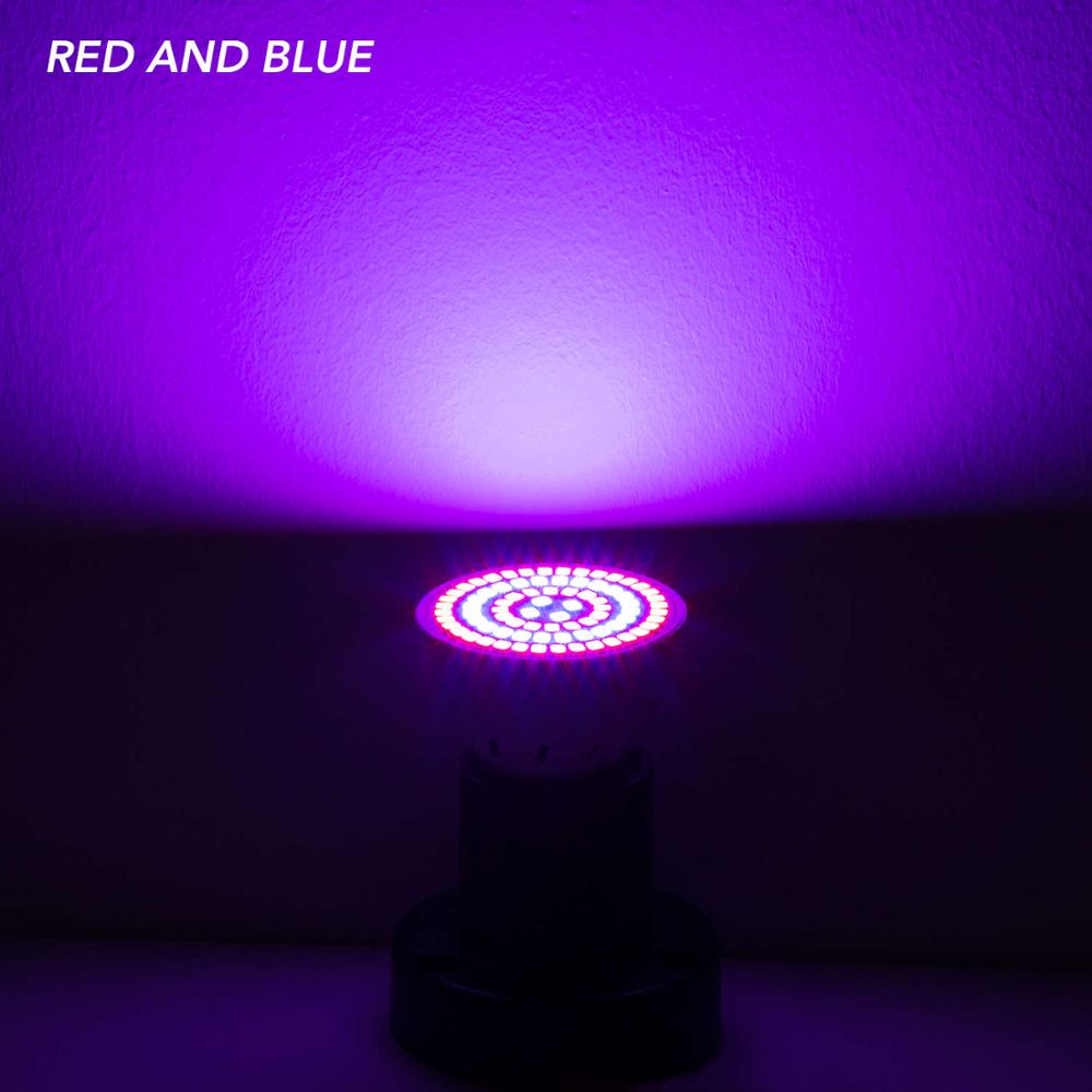 E27 Plant Light Full Spectrum LED Grow Bulb E14 LED Phyto Lamp GU10 Growing LED Hydroponic Tent Light MR16 48 60 80leds 220V B22