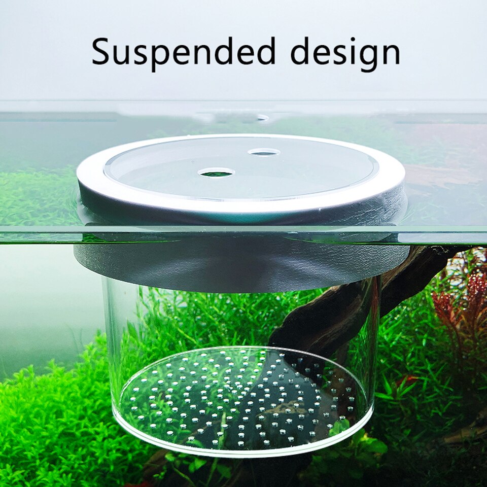 Suspended Fish Tank Isolation Box Acrylic Fish Tank Fry Breeding Box Aquarium Accessories