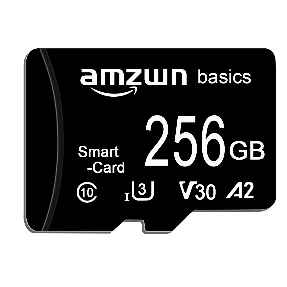 style Micro TF/SD Card 2GB 4GB Flash Memory Card Class 10 micro Mini SD Card 32 gb 64gb TF SD Card for Smartphone: 256GB