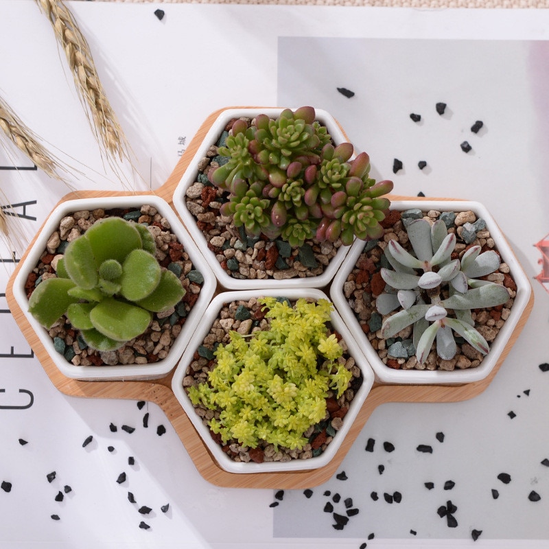 4 stuks zeshoekige bloempotten, witte keramische vetplantenpot met bamboestandaard, kleine bonsaipotten, groene plantenbakken, woondecoratie