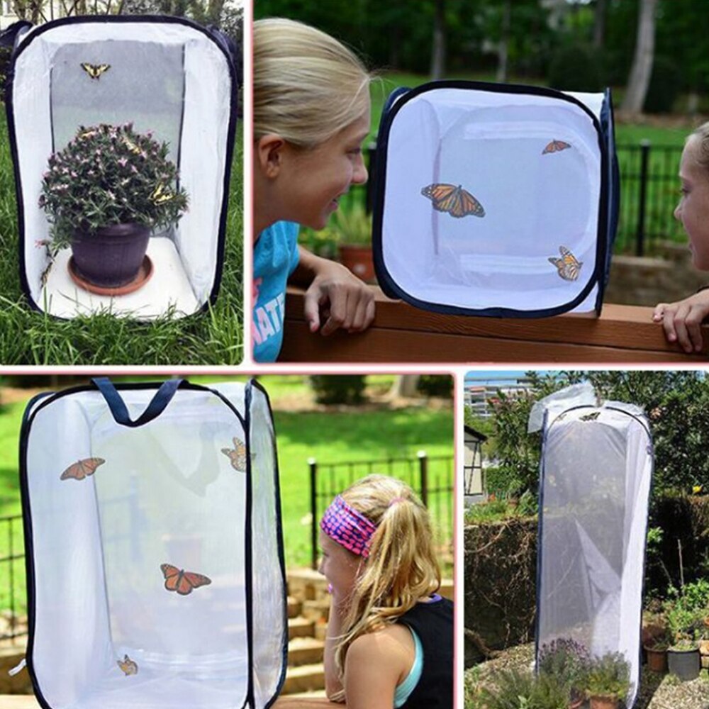 Praying Stick Insect Butterfly Cage Housing Enclosure stick insect Breeding Cages Net Home Accessories