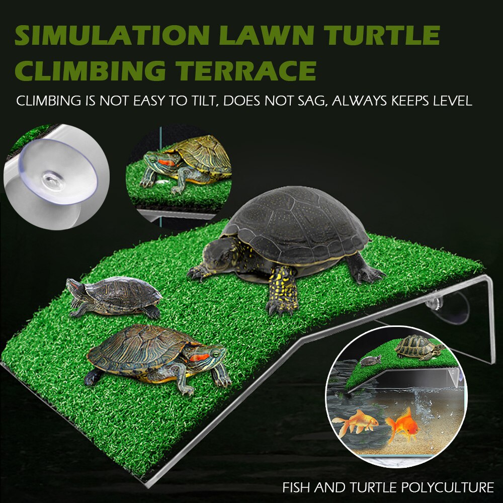Tortue se prélasser plate-forme Aquarium décor acrylique tortue île Aquariums mousse escalade île pour tortues Reptile réservoir décoration