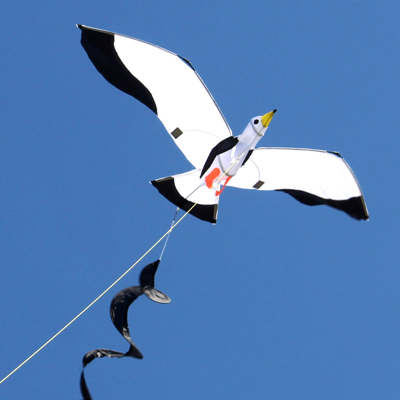3D Enkele Lijn Seagull Vliegers Sport Strand Met Kite Handvat En String Makkelijk Te Vliegen
