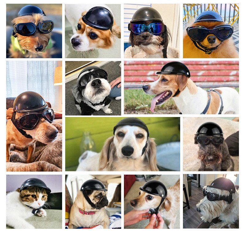 S/M-Cascos anticolisión para perros y gatos, gorra protectora para cachorros, a la , suministros para mascotas
