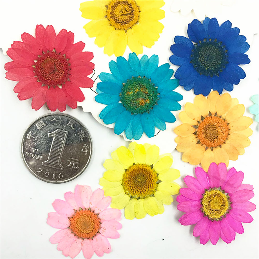 Silicone world Dried Flower Dry Plants For Epoxy Resin Pendant Necklace Jewelry Making Craft DIY Accessories UV Expoxy Flower