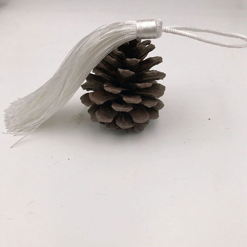 10 stuks handgemaakte kwastjes 16 cm borlas para coser diy kwastjes voor sieraden sleutel mobiele telefoon tas franje rand kwastjes hanger: Zilver