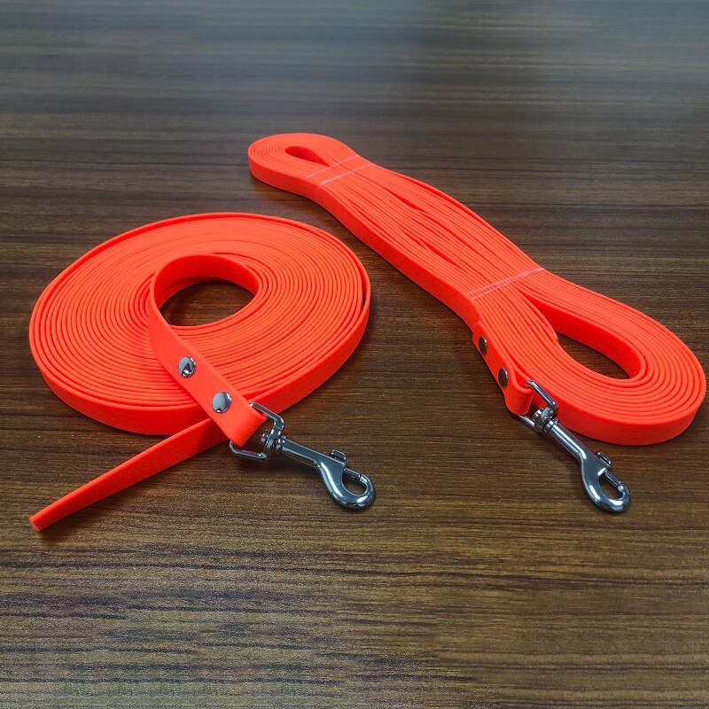 Laisse imperméable en PVC pour chien, collier pour chiot, accessoire pour chien, entraînement de rappel, suivi d'obéissance, facile à nettoyer