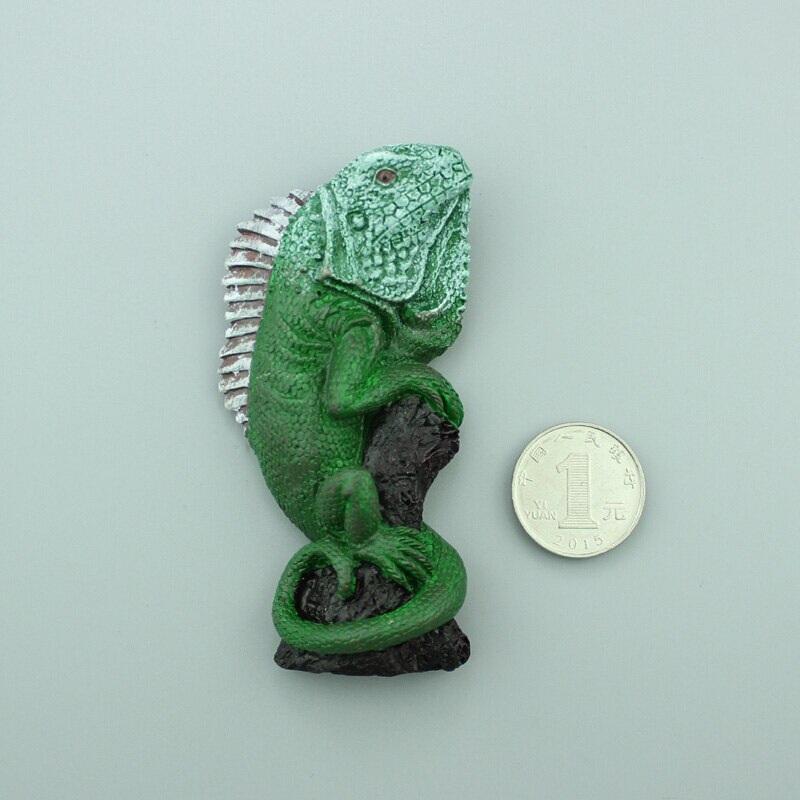 Papegøje firben magnet klistermærke køleskab klistermærke amerikansk land papegøje spansk tuatara køleskab magnet souvenir