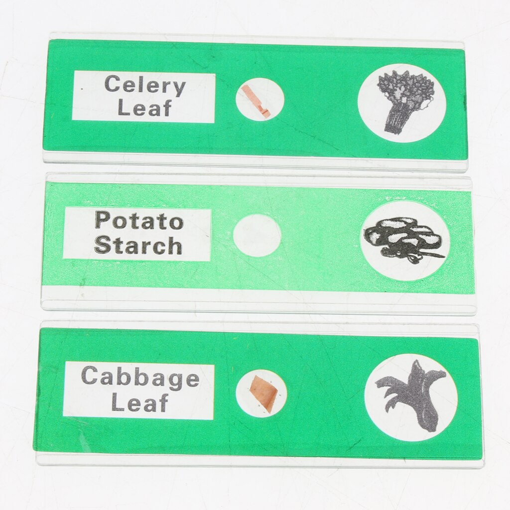 12 Stks/doos Voorbereid Microscoopglasplaatjes Biologie Specimen Kinderen Onderwijs