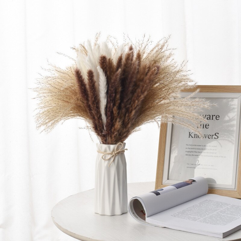 10Pcs Dry Dried Small Pampas Grass Flowers Pantas Artificiales Para Decoracion Real Plants Home Decor Wedding Decoration