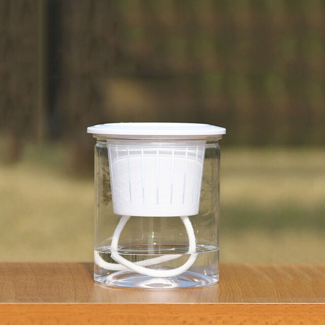6 Pots Orchidée Transparents Plastique - Avec Trou Drainage - 11.7cm