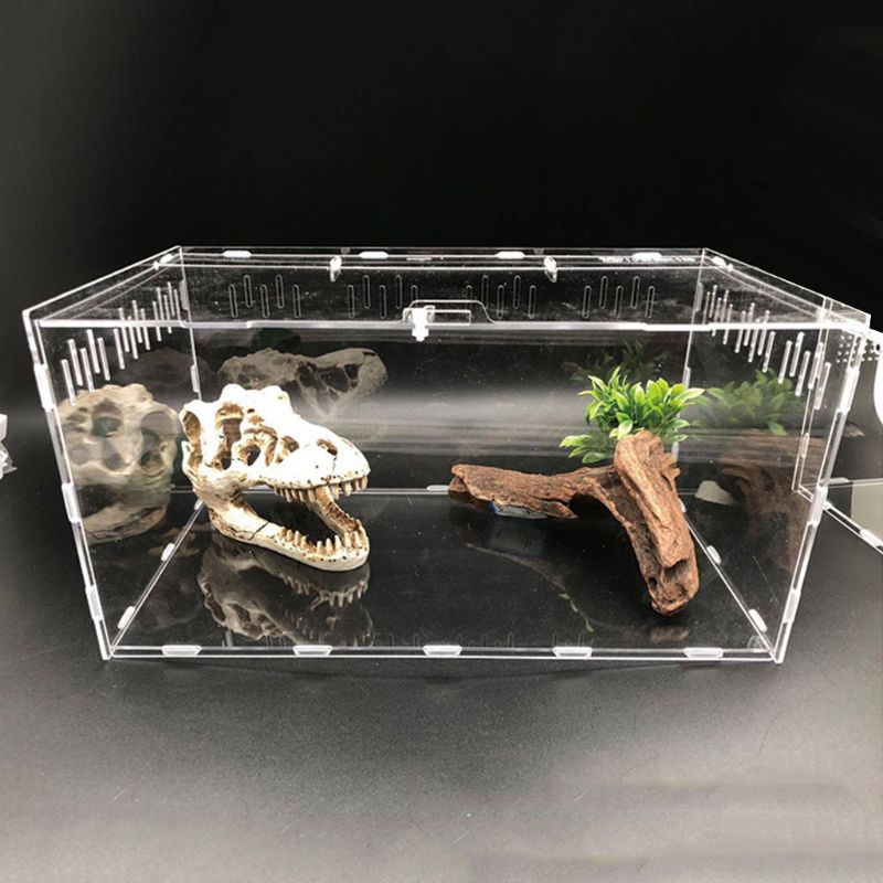Insect Breeding Box Acrylic 360 ° Transparent Pet Reptile Box Reptile Terrarium U90A