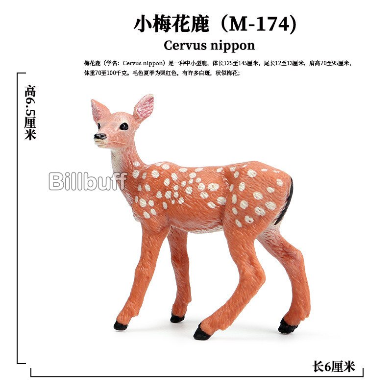 Mini Simulatie Wilde Dieren Abs Model Actiefiguren Paard Herten Kangoeroe Zebra Koe Cub Collection Educatief Speelgoed Voor Kinderen: Animal Figures J