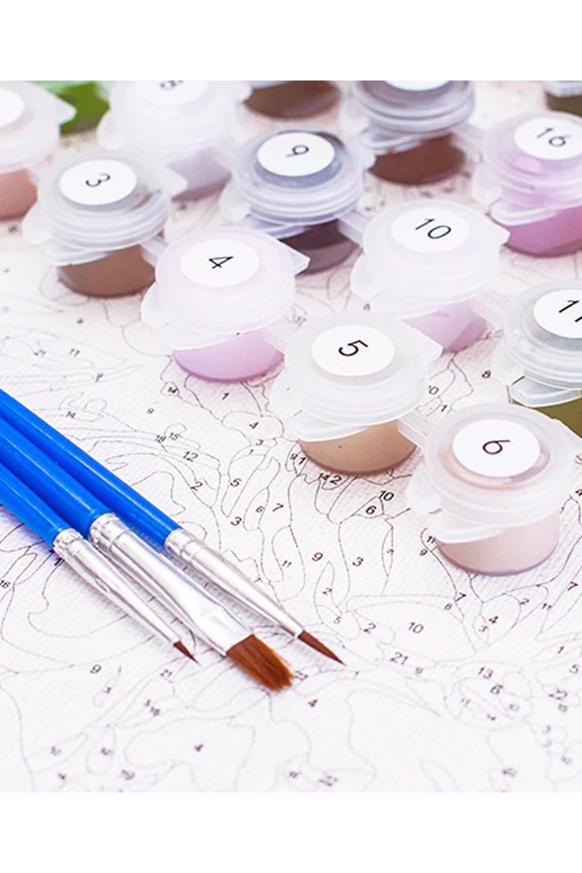 Painting by Numbers Table Set 45x55 Cm Canvas Brush Paint Included