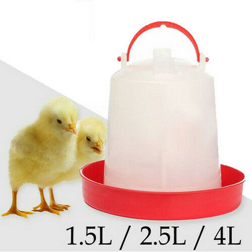 Plastic Kip Kwartel Gevogelte Kip Drinker Voedsel Feeder Kip Drinker Chick Kip Bantam Voedsel Water Accessoires Tool