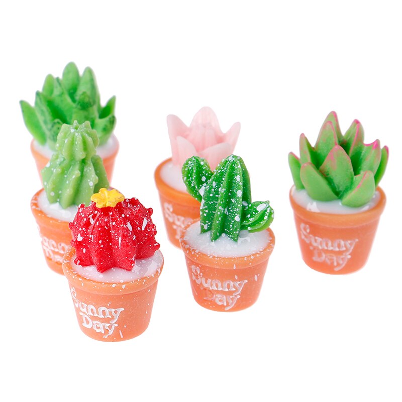 5Stck DIY Kleine Ornamente Spielzeug Mikro-Landschaft Harz Kaktus Gartenbau Bonsai