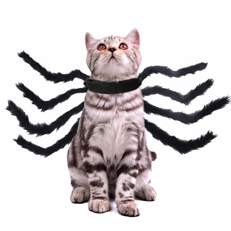 Halloween Spider Kostuum Voor Honden Katten Halloween Spider Huisdier Kostuum Kat Decoratie BV789