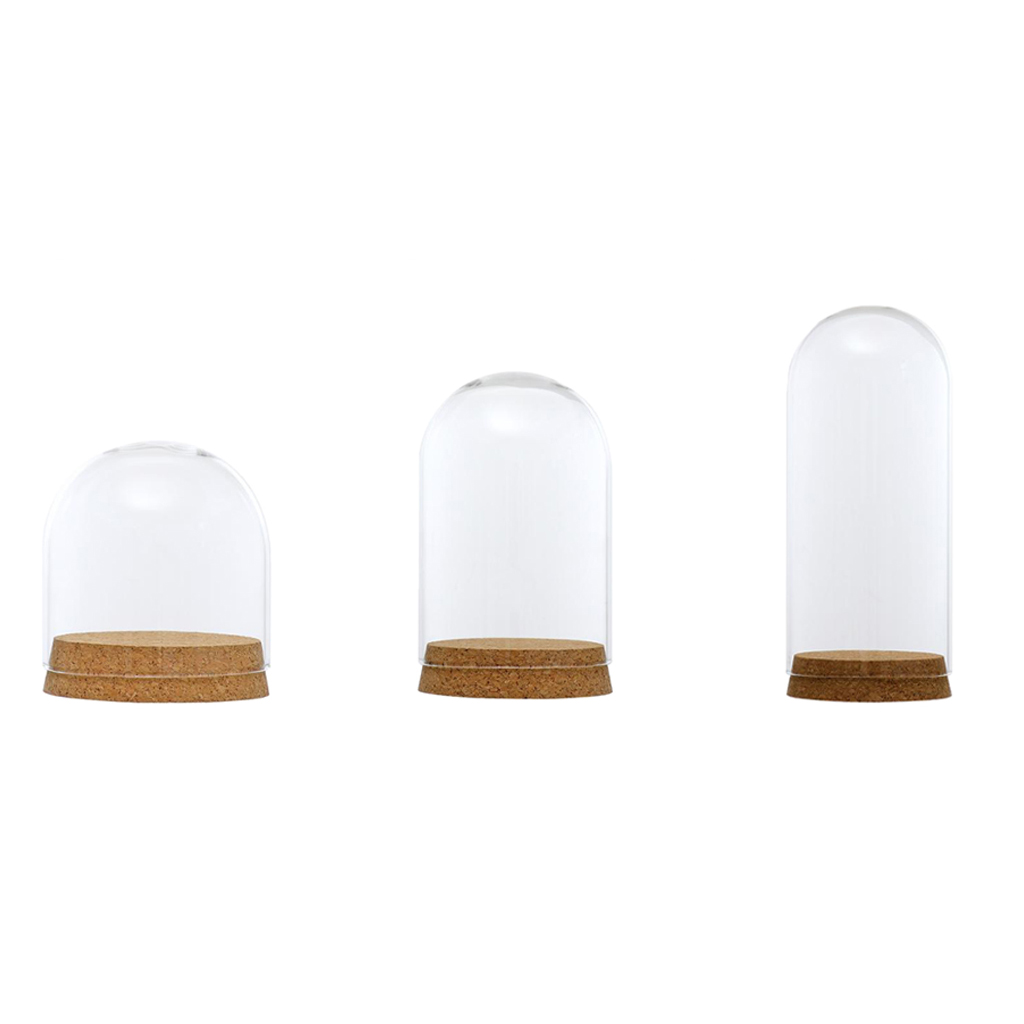 Vitrina de vidrio transparente, tapa de cúpula, campana, jarro, terrarios suculentos con corcho de madera para decoración de mesa de hogar y oficina DIY