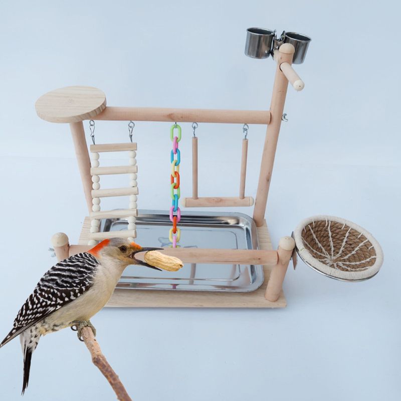 Papegøjer legeplads fugle legeplads træ aborre stige gymnastiksal med bakke fodring kopper svinge fuglerede