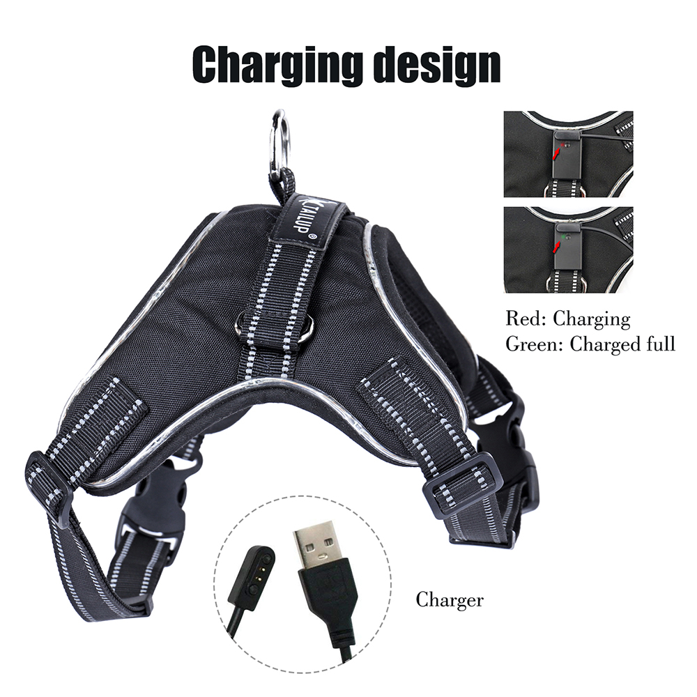 Huisdier Producten voor Grote Hond Harnas Verstelbare Led Kraag Puppy Lood Huisdieren Vest Hond Leads Accessoires Chihuahua Hond Levert