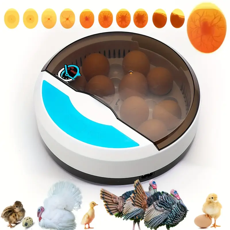 Pequeño hogar 9 incubadoras automática de temperatura constante incubadora de huevos de pollo, pato y pájaro incubadora de huevos de gallina Rutin