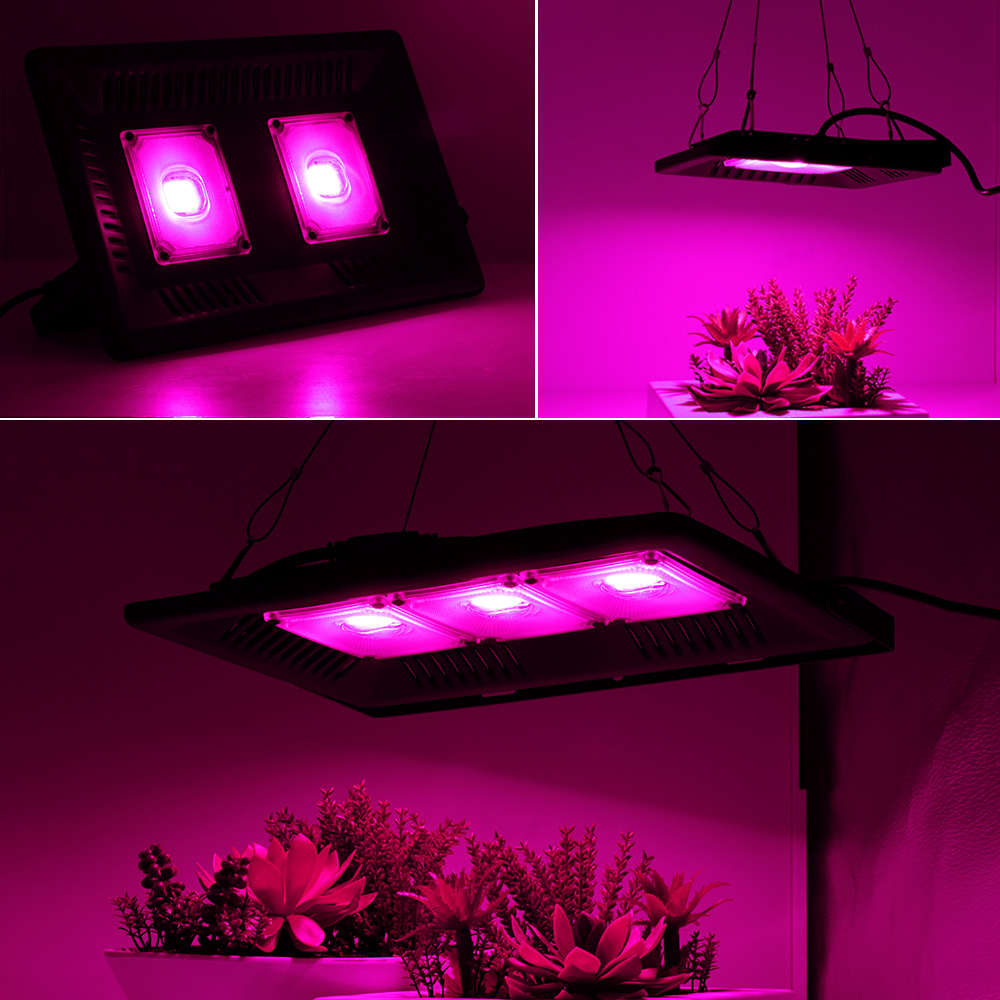 Luz LED de espectro completo COB, 300W, luz de inundación de crecimiento, lámpara resistente al agua Phyto para planta de interior, Growbox hidropónico