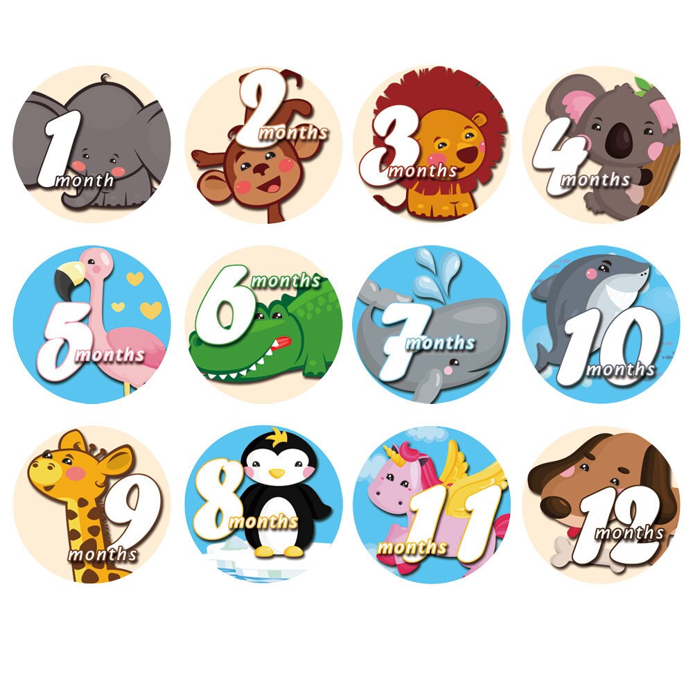 12 pièces bébé mensuel photographie autocollants dessin animé fleur -né bébé photographie étape 1-12 mois enfants Photo stand accessoires