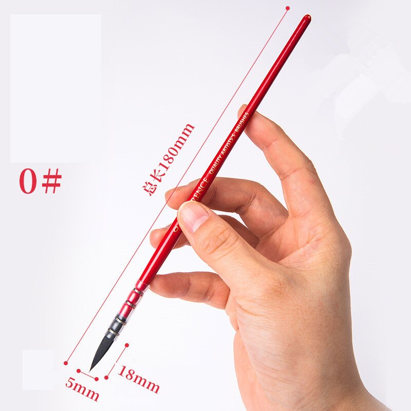 Pincel de pelo de ardilla para pintura de Acuarela, Pinceles puntiagudos de para acuarelas, 1 unidad: number 0
