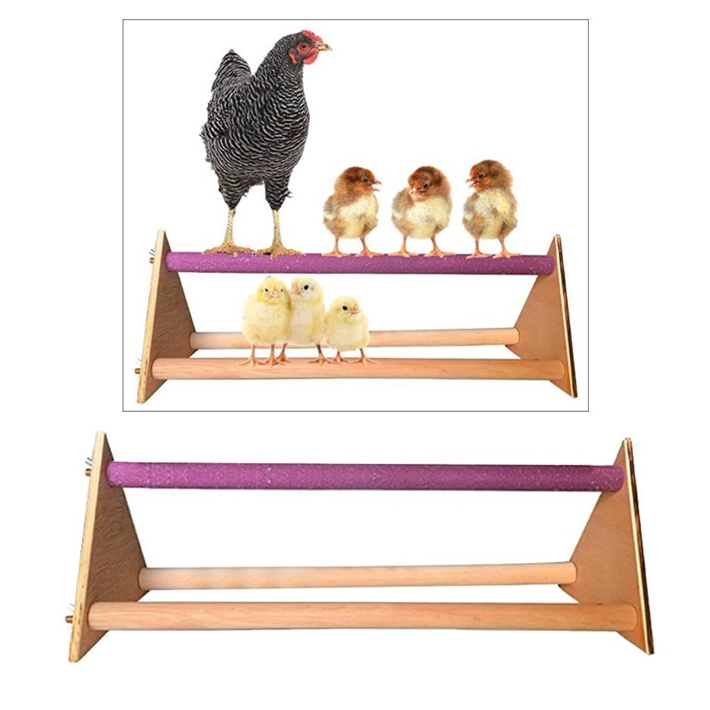 Chick Stand Trainning Baars Speelgoed Kip Swing Kip Speelgoed Voor Kippen Grote Vogels