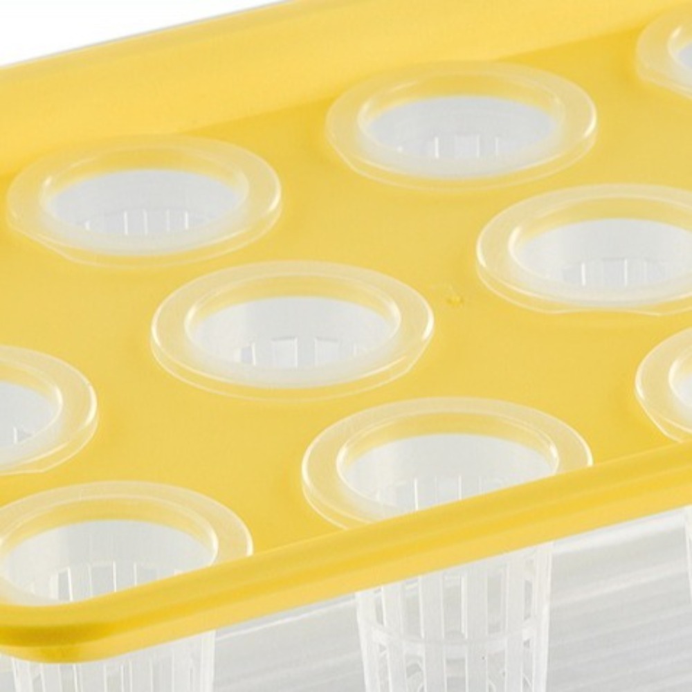 Transparent Hydroponic Grow Fish Tank Self-Cleaning Healthy Environment Planting Container Soilless Cultivation