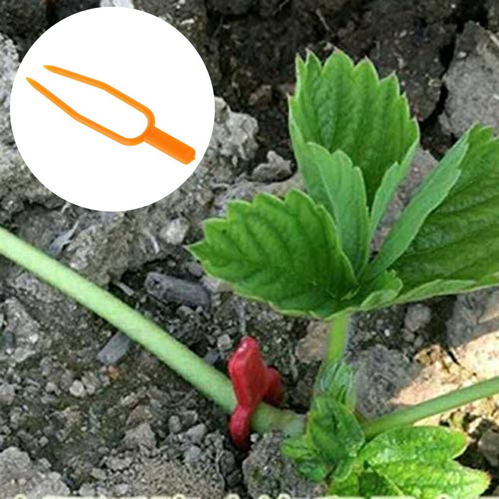 50 pièces/ensemble En Plastique Plante Tige Fixateurs D'escalade En Plastique Clips de Soutien Plante Vigne Pour Fleur Semis directe