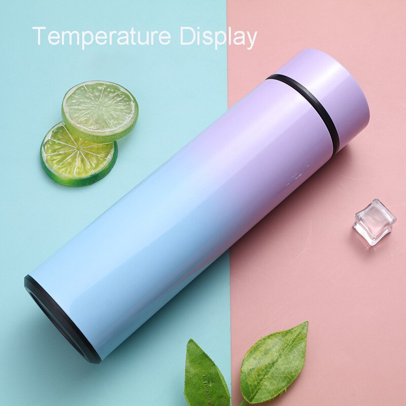 Touch Display Temperature Kettle 500ml Electric Kettles Stainless Steel Vacuum Intelligent Kitchen Appliances Insulation Cup: I