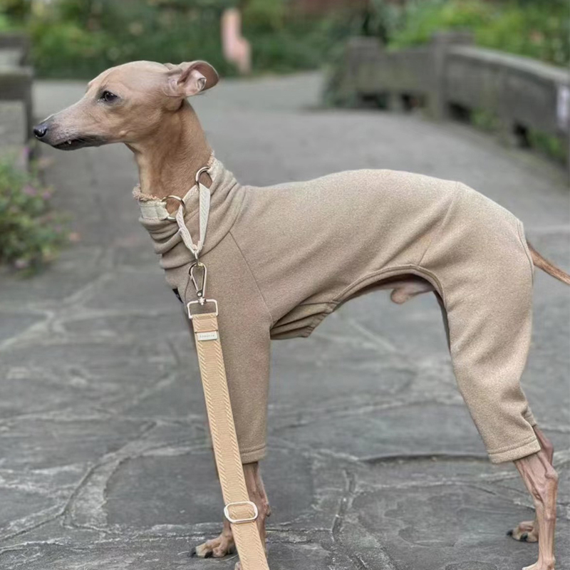 Ropa suave de cuello alto Whippet de 4 patas, suéter elástico de algodón para perros galgo italiano cálido en Otoño Invierno: XXS / Blanco