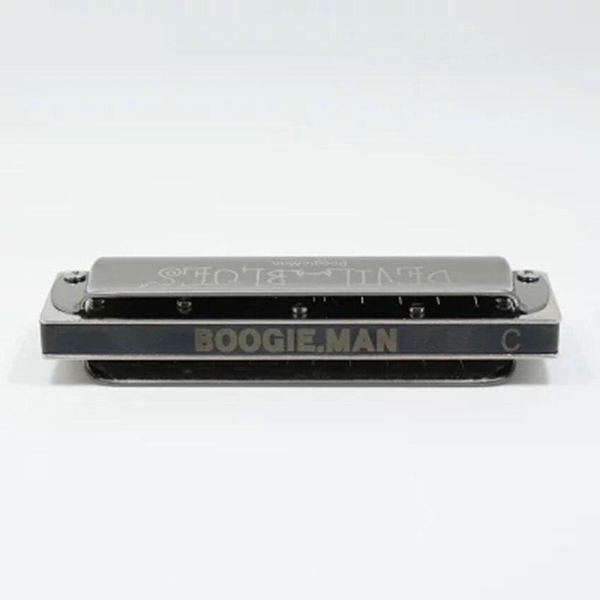 10 Hole Blues Harp Harmonica Professionele Harmonica C/A/D/E/F/G/Bb wind Instrument Mondharmonica Musical Instrument